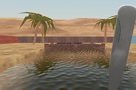 dm_oasis_b1
