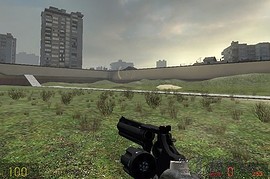 Black HL2 Magnum
