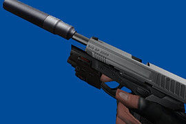 Sig Pro 2009