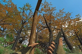 high-res_arms