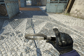 magnifier