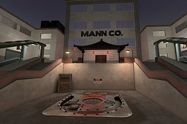 mvm_manndarin