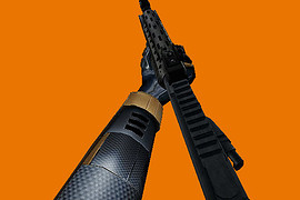LR 300 with M203