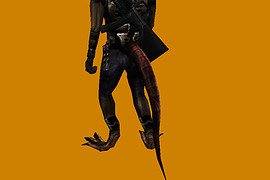 rgn_raven2