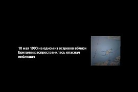 Русификатор для мода Dead Sector