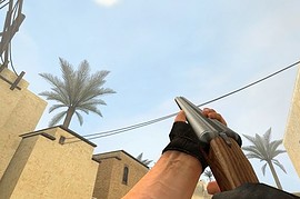 Double Barrel Shotgun
