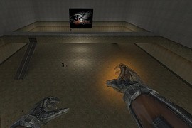 cok_9_mm_teamplay