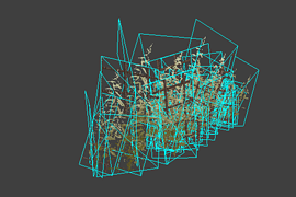 grass_pack1b_line