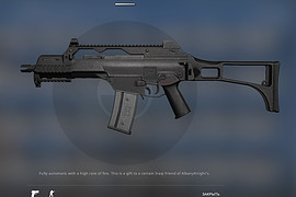 H&K G36C5