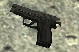 Sig Sauer P228