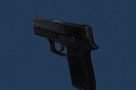 Kitteh s P250 DCc