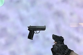 Sig Pro 2009