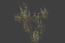 grass_pack1a_aref