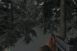 bastogne_treeline_beta