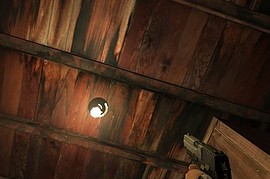 BlackHoleSon's reskinned P228