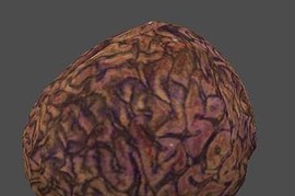 fnv_brain