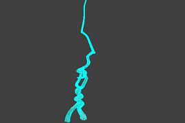 tree_11
