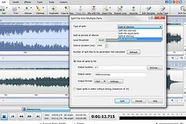 WavePad (ru 6.23, eng 9.01)