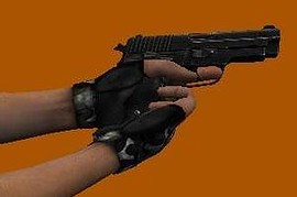 CSS Sig Sauer P228