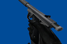 AWR Arctic Warfare Ruger Reskin