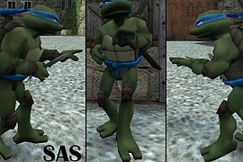 Ninja Turtles