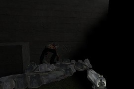 the_way_of_freeman