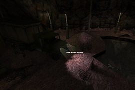 Escape from the Darkness
