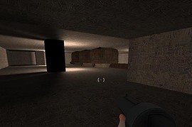 ctf_dizzydungeon75