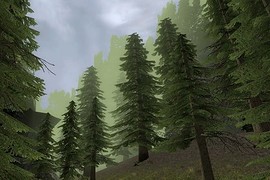 gm_niebla