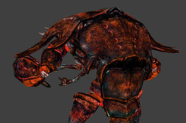 Mirelurk