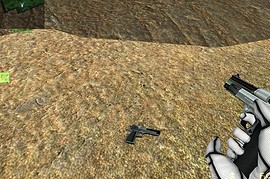 Deagle 2-Toned Silver Black Re-Skin