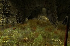 The Island