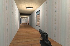Hav0c s Deagle Anim Two-pack