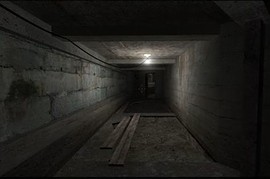 de_kenigforest