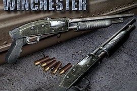 S.T.A.L.K.E.R Winchester