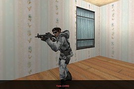 Havoc Sg552 On 1.6 Anims