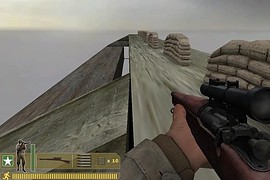 dod_lynx_forest