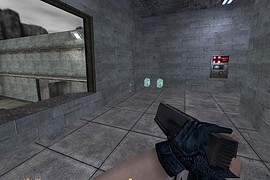 Alyx Gun