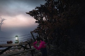 Pink zoey, Converse included!