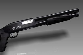 RE Cold Blood M590