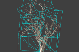 !tree_19
