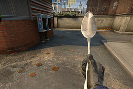 Spoon