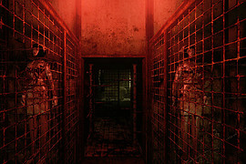 Silent Hill: Alchemilla