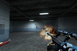 Arctic AUG