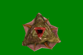Spore Launcher UD