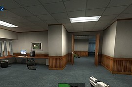 two toned p228