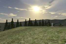 ts_woods_alpha6