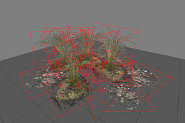 l10swamp_plant_group1
