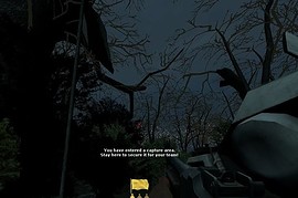 dod_forest_dtt