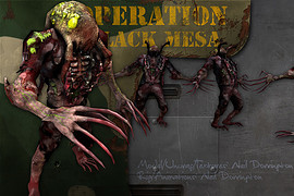 Operation Black Mesa